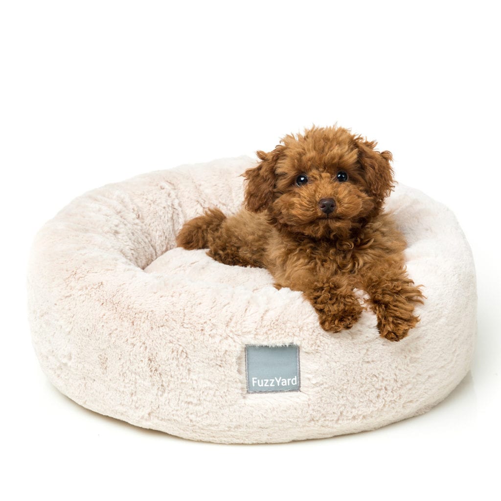 Eskimo Winter Cream Bed - Pets and Pamper - Pets and Pamper