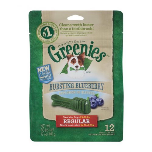 Greenies blueberry regular (12 pack) treats