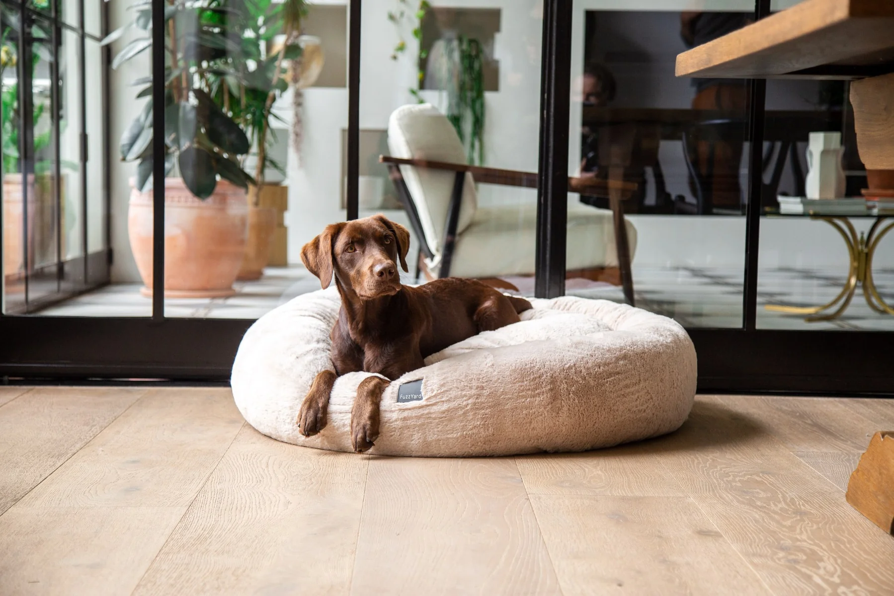 FuzzYard Dreameazzzy Cream Pet Bed - Image 5